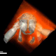 Image for article titled X-Ray Console Quiz!